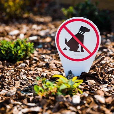 Zákaz venčení psů, Prohibition (Bảng cấm dắt chó đi vệ sinh)