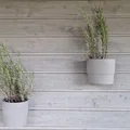 Giá treo tường 3D cho chậu cây IKEA NYPON 12cm tiện dụng - Thumbnail 2