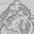 Mô hình 3D tranh nổi siêu xe phân khối lớn (Superbike) cực chất - Thumbnail 2