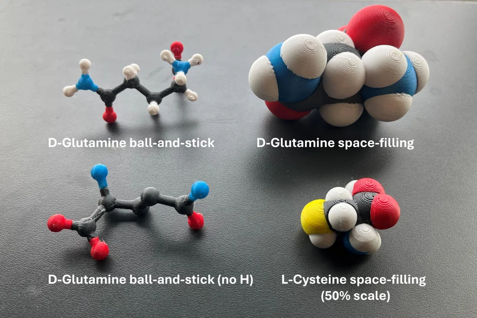 Mô hình 3D in đa màu các amino acid chuẩn (space-filling; ball-and-stick) - Image 1