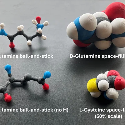 Mô hình 3D in đa màu các amino acid chuẩn (space-filling; ball-and-stick)