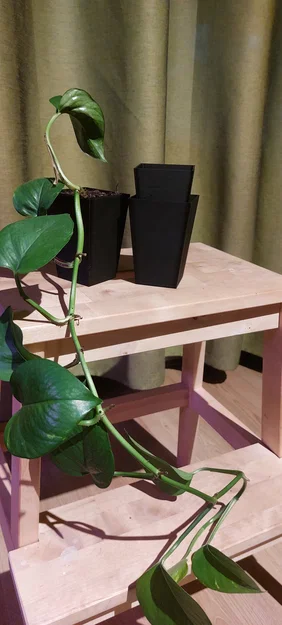 Chậu cây thiết kế chống thối rễ (anti root rot) – chậu trong/ngoài - Image 3