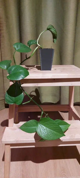 Chậu cây thiết kế chống thối rễ (anti root rot) – chậu trong/ngoài - Image 4