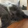 PhilNolan_510687