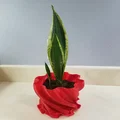 Chậu Trồng Cây Xoắn Lớn (Large Torqued Planter) - Thumbnail 4