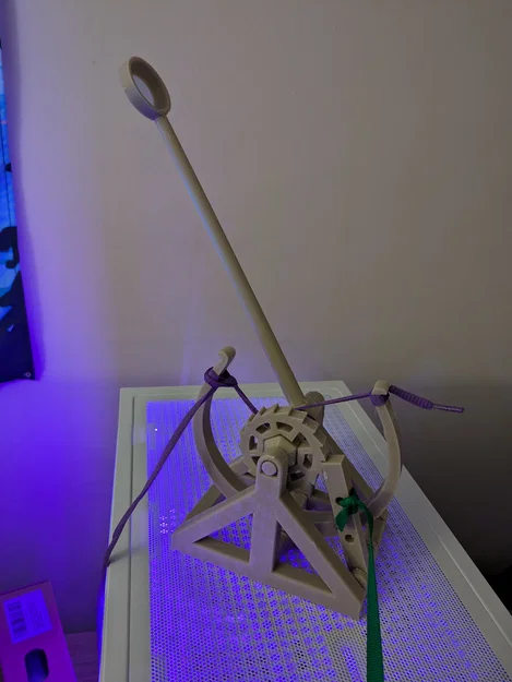 Mô hình máy bắn đá Catapult in 3D độc đáo cho mọi người - Image 1