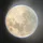 leutsky_1785280