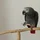 BFB_Workshop_1838755