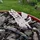 davidzauner_401854