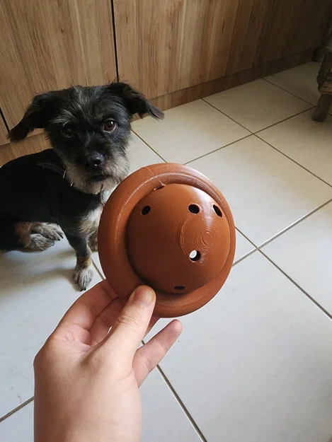 Đĩa đồ chơi cho chó (Dog toy disc) - Image 2