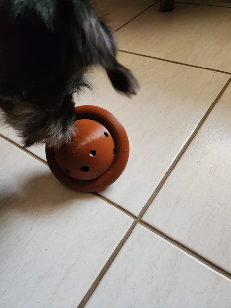 Đĩa đồ chơi cho chó (Dog toy disc) - Image 3
