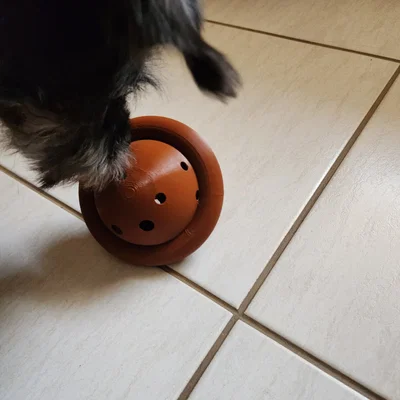 Đĩa đồ chơi cho chó (Dog toy disc)