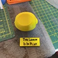 The Travelling Lemon (Trò chơi “quả chanh du hành” từ Cabin Pressure) - Thumbnail 4