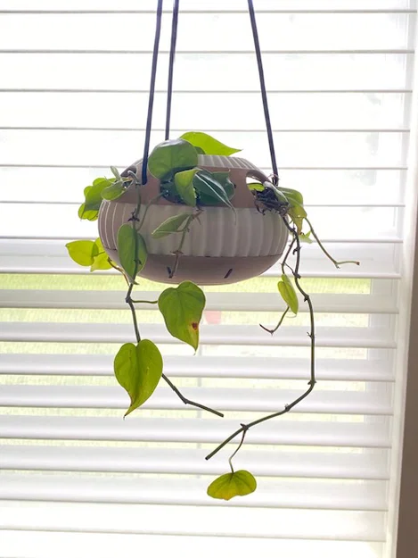 Chậu cây thiết kế tối giản hiện đại (Modern Minimalist Designer Pot) - Image 1