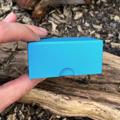 Xúc xắc Săn Kho Báu Thiên Nhiên (Nature Scavenger Hunt Dice)