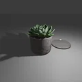 Chậu cây nhỏ họa tiết đá kèm khay hứng nước (Small Plant Pot) - Thumbnail 1