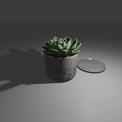 Chậu cây nhỏ họa tiết đá kèm khay hứng nước (Small Plant Pot)