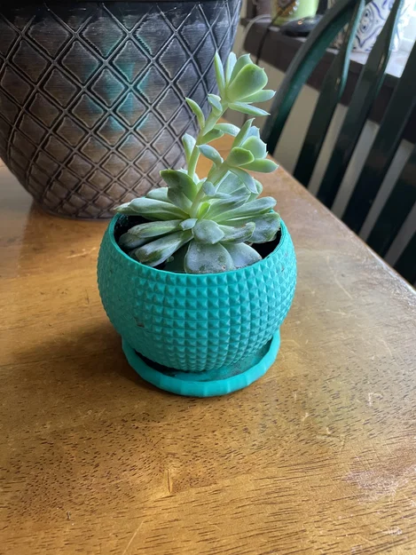 Đĩa lót chậu (coaster) cho Diamond Pot – 2 phiên bản - Image 1