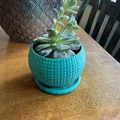 Đĩa lót chậu (coaster) cho Diamond Pot – 2 phiên bản - Thumbnail 1
