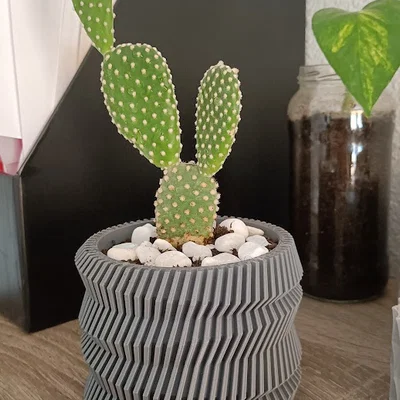 Chậu trồng cây Spinning Gear Planter Pot in 3D cực đẹp