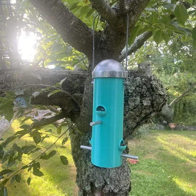 Máng ăn cho chim đơn giản (Simple Bird Feeder)