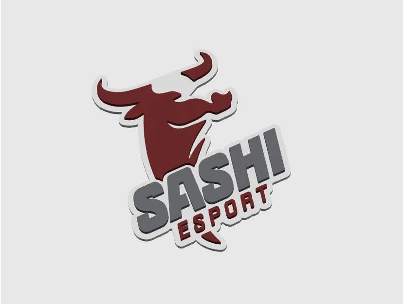 Logo Sashi Esport (CS2) - Image 1