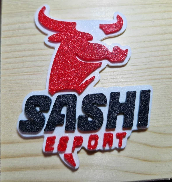 Logo Sashi Esport (CS2) - Image 2