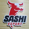 Logo Sashi Esport (CS2) - Thumbnail 3