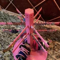 Kệ Trang Sức Modular (Modular Jewelry Stand) - Thumbnail 3