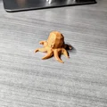 Bạch tuộc Low Poly dễ thương để bàn (Cute Low Poly Desk Octopus) - Thumbnail 3