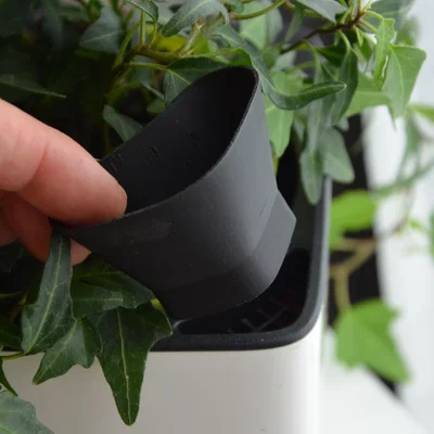 Phễu cho chậu Lechuza Cube 14 W140 (Funnel for filler port)