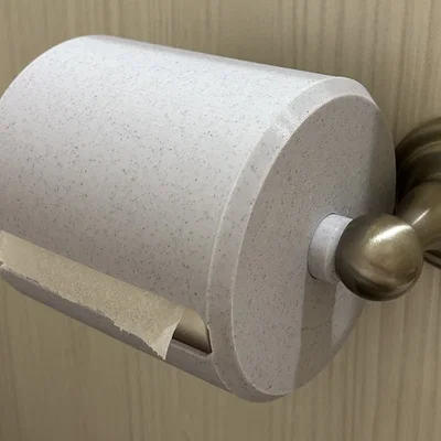 Nắp Che Giấy Vệ Sinh Chống Mèo Con (Anti-Kitten Toilet Paper Cover)
