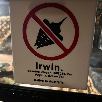 Bảng Cấm Cá Đuối Cho Thằn Lằn Râu (No Sting Rays Bearded Dragon Sign)