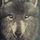 Kasper_312471