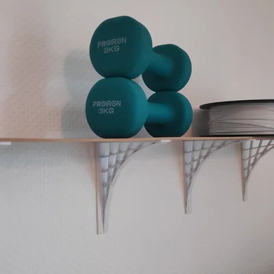 Pat đỡ kệ treo tường (Parametric Shelf Bracket) - Tùy biến dễ dàng
