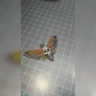 Móc khóa bướm đầu lâu DEATHS- HEAD HAWKMOTH KEYCHAIN