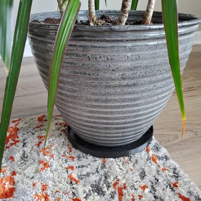 Khay hứng nước chậu cây cảnh in 3D (Planter Tray)