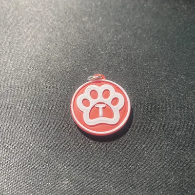 Thẻ tên cho mèo có chữ cái đầu (Cat tag with letter)