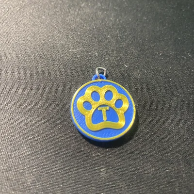 Thẻ tên cho mèo có chữ cái đầu (Cat tag with letter)