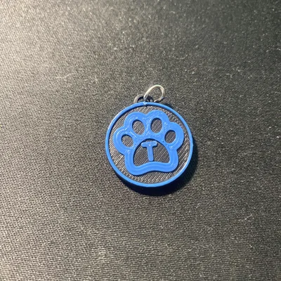 Thẻ tên cho mèo có chữ cái đầu (Cat tag with letter)