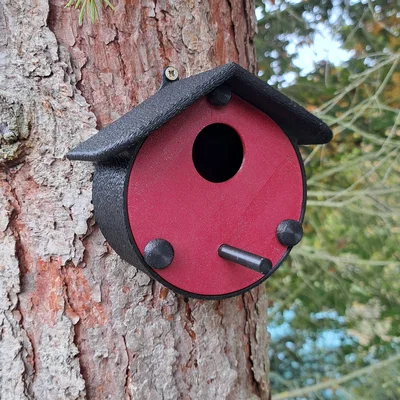 Hộp làm tổ cho chim (Nistkasten) | Nesting Box for Birds