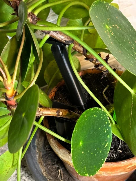 Giá đỡ cây kéo dài (Extendable plant support) - Image 2