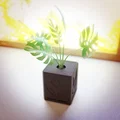 Chậu Trồng Cây Nắp Chống Mèo “Cute Cat Proof Planter” - Thumbnail 1