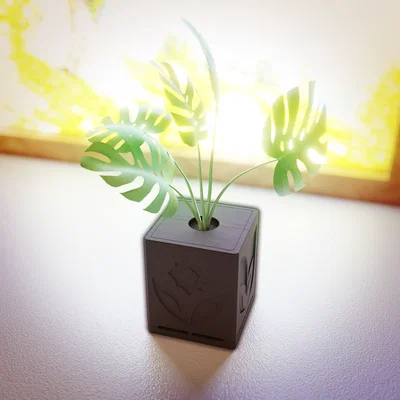 Chậu Trồng Cây Nắp Chống Mèo “Cute Cat Proof Planter”