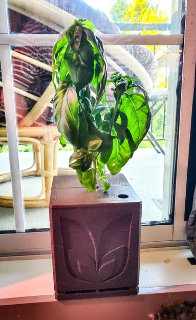 Chậu Trồng Cây Nắp Chống Mèo “Cute Cat Proof Planter” - Image 2