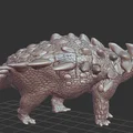 Mô hình khủng long bọc giáp Ziapelta chi tiết cho in 3D - Thumbnail 2