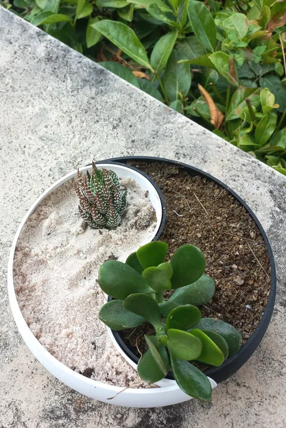 Chậu cây cảnh Âm Dương (Ying Yang Planter) trang trí nhà cửa - Image 1