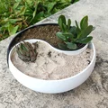 Chậu cây cảnh Âm Dương (Ying Yang Planter) trang trí nhà cửa - Thumbnail 2