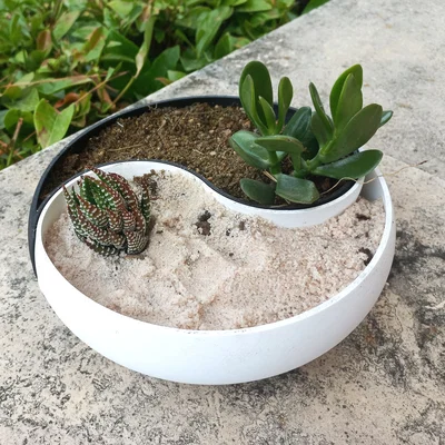 Chậu cây cảnh Âm Dương (Ying Yang Planter) trang trí nhà cửa