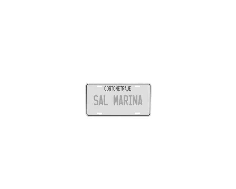 Mô hình bảng số xe trang trí (License Plate) tùy chỉnh phong cách - Image 1